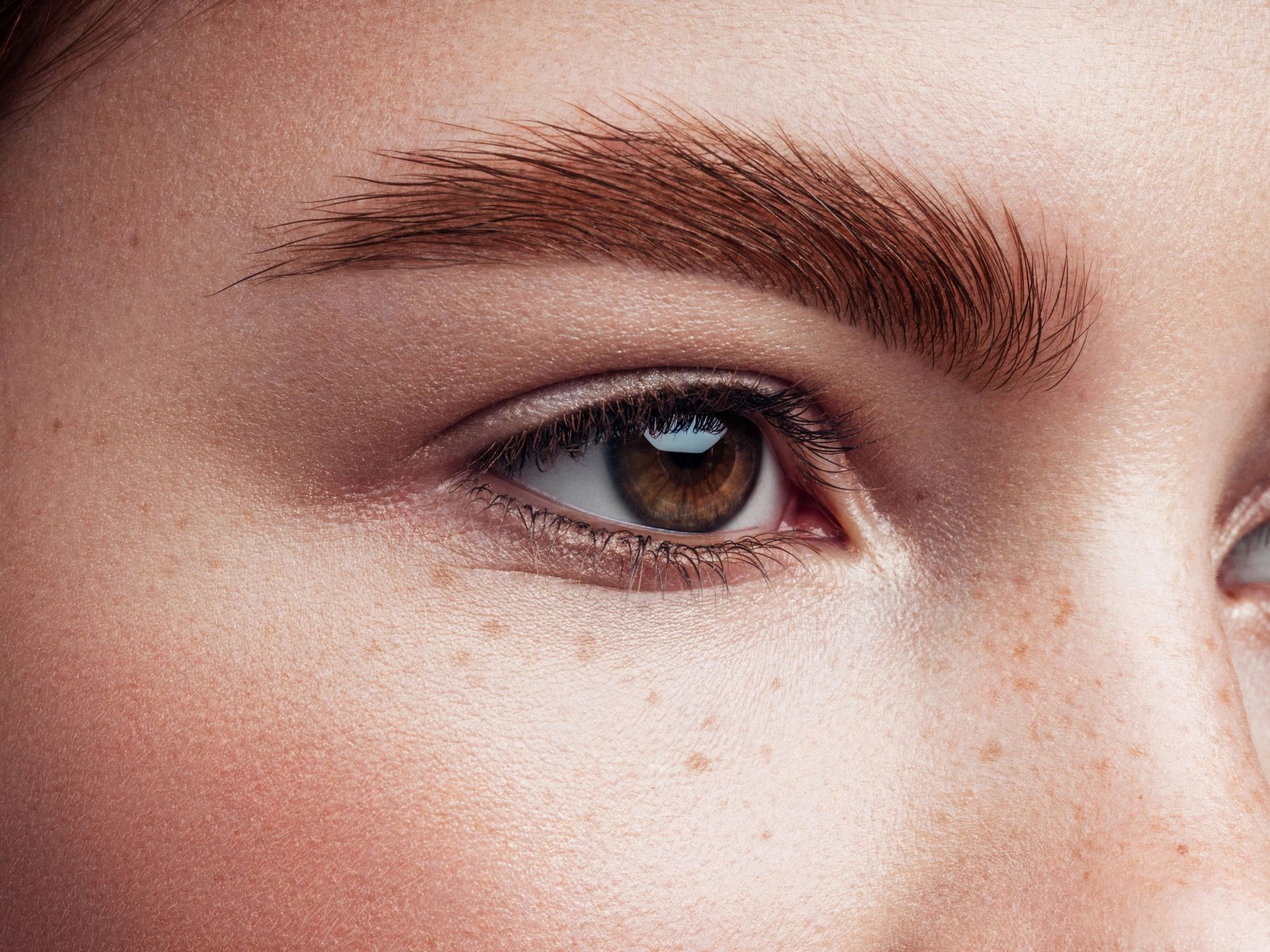 Close-up of a well-shaped brow